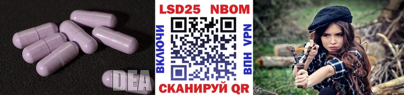 что такое   Гатчина  Лсд 25 экстази ecstasy 
