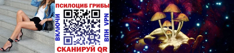 MEGA как зайти  Гатчина  Псилоцибиновые грибы ЛСД  что такое наркотик 